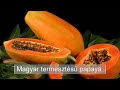 Magyar termesztésű papaya