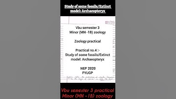 study of some fossils/extinct models: Archaeopteryx || vbu semester 3 zoology minor practical #vbu
