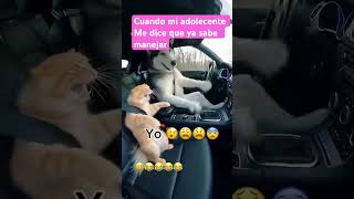 Adolecentes #foryou #memes #humor #hijos #adolescentes #fyp #shorts #like #shortvideo #comedia #fy
