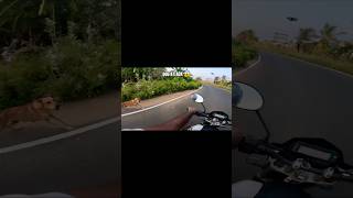 Unexpected Dog Chase 😱 Real POV Ride