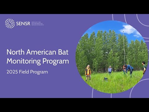 North American Bat Monitoring Program (Alberta) 2025 Field Season (NNW ...