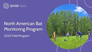 North American Bat Monitoring Program (Alberta) 2025 Field Season (NNW NABat Hub)