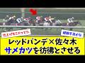 3番人気レッドバンデ佐々木、見事な早仕掛けを披露してしまう