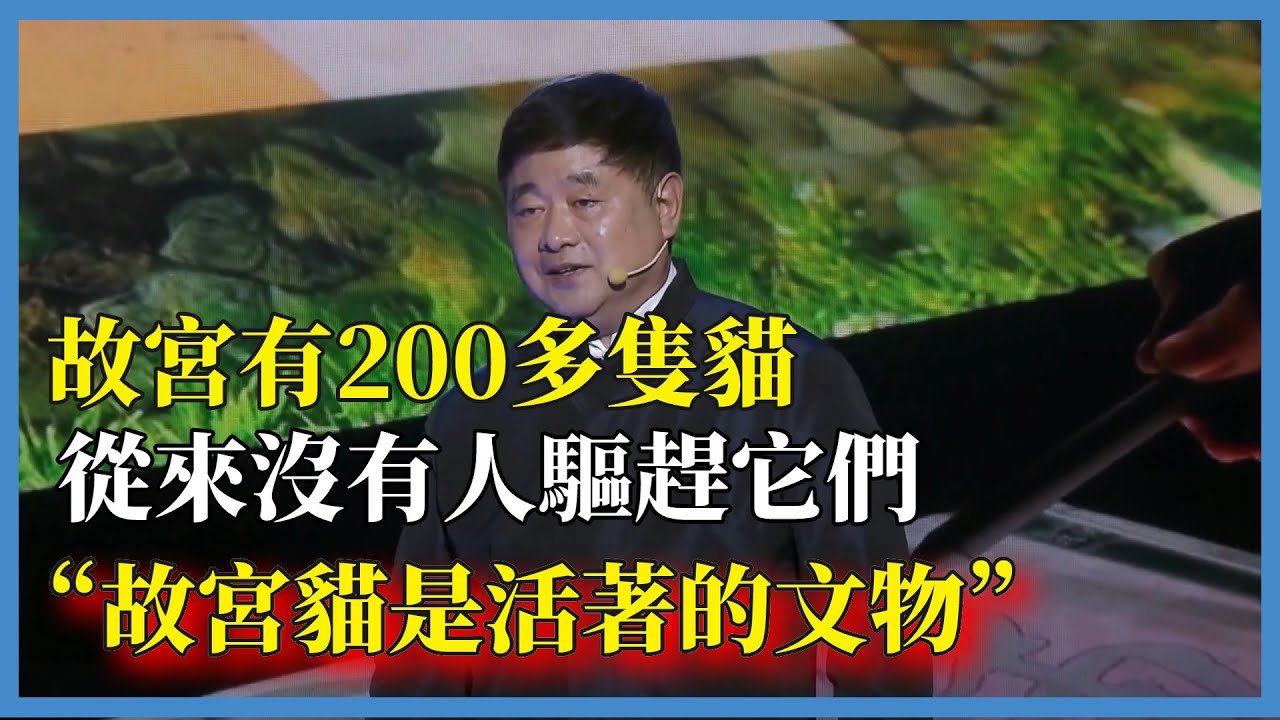 故宮有200多隻貓，從來沒有人驅趕它們，“故宮看門人”單霽翔說：“故宮貓是活著的文物”#对白#白岩松#圆桌派#窦文涛#脱口秀#真人秀#锵锵行天下#锵锵三人行