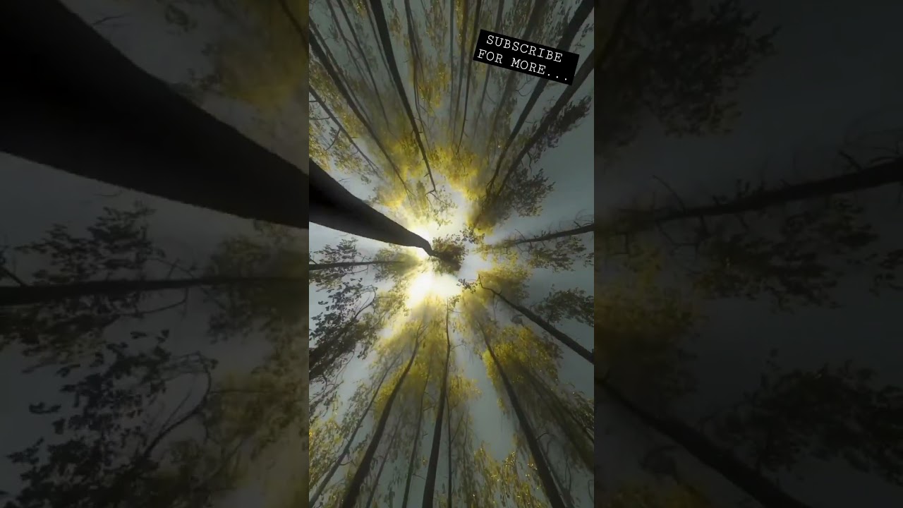 The Feeling What Nature Gives Us Is Incomparable With Anything Else....✍️