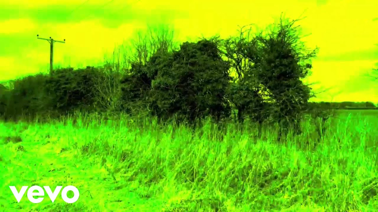 Simon Tall - Starling Murmuration