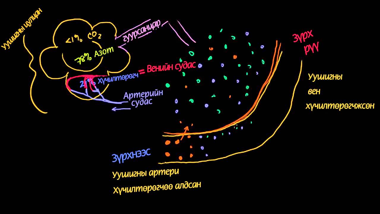 Цусны улаан эс