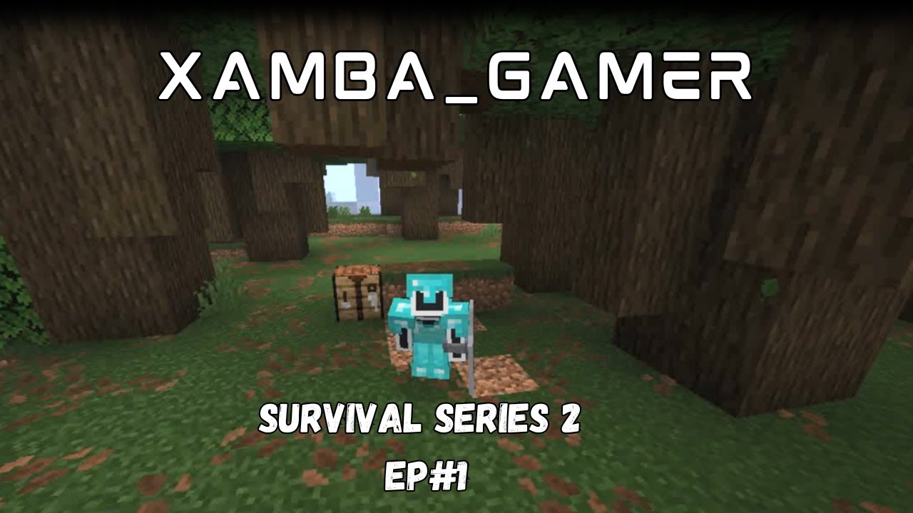 I Made Full Diamond Armor in Minecraft! | Survival Series 2 Episode #1 ...