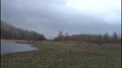 Horsterwold - Walk the seabottom