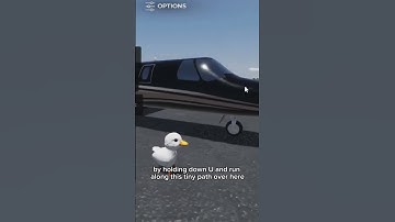 How To Find Every Badge In Project Flight PART 1