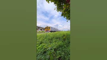 Emu Local Galloping #shorts