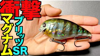 【バス釣り最新ルアーレビュー】4分で解る「ブリッツマグナムSR」のマグストアクションが衝撃すぎるのでやってみたい！
