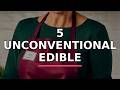 5 Unconventional Edible Ferments You Must Try This Weekend: The Complete 2026 Guide #shorts