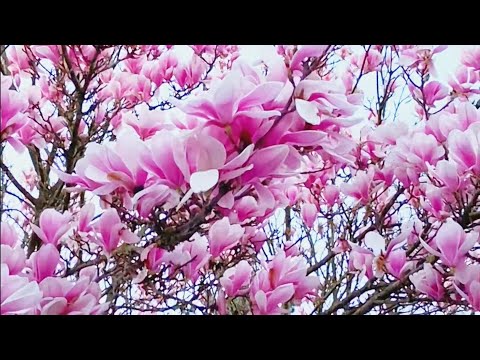 Artemas - time alone w u (lyrics)