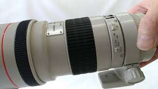 Canon EF 300mm F/4 L USM Ultrasonic Telephoto Lens from Japan 
