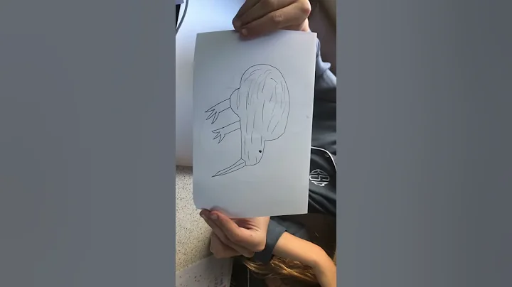 How to draw a Kiwi bird