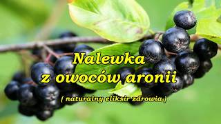 Nalewka z owoców aronii ( naturalny eliksir zdrowia ).