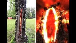 Thân cây rực lửa từ bên trong, ngỡ như lối vào cổng địa ngục