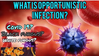 what is opportunist infection | Black fungus and | Yellow fungus | in covid 19 patients