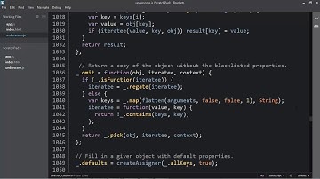 JavaScript Understanding The Weird Parts 056 Reflection and Extend
