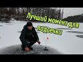 Когда подсекать щуку при ловле на жерлицы? Правильная подсечка