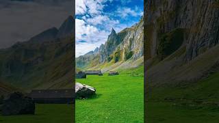 Therapy #nature #planetearth #viralvideo #worldnature #earth #goviral #viralshort