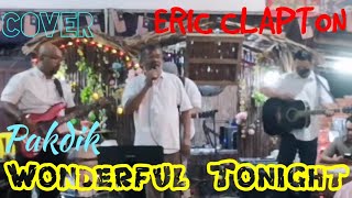 ERIC CLAPTON - Wonderful Tonight | Cover by 