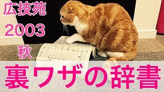 【紹介動画】ブックオフ購入品紹介　VOL.36 裏技の辞書　広技苑 2003 秋