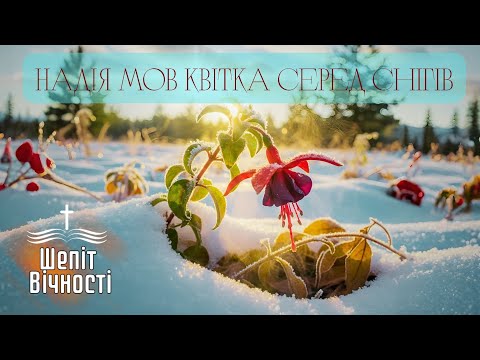 Піднімайся | ХРИСТИЯНСЬКИЙ ПСАЛОМ Ukrainian Christian song