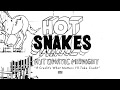 Capture de la vidéo Hot Snakes - If Credit's What Matters I'll Take Credit