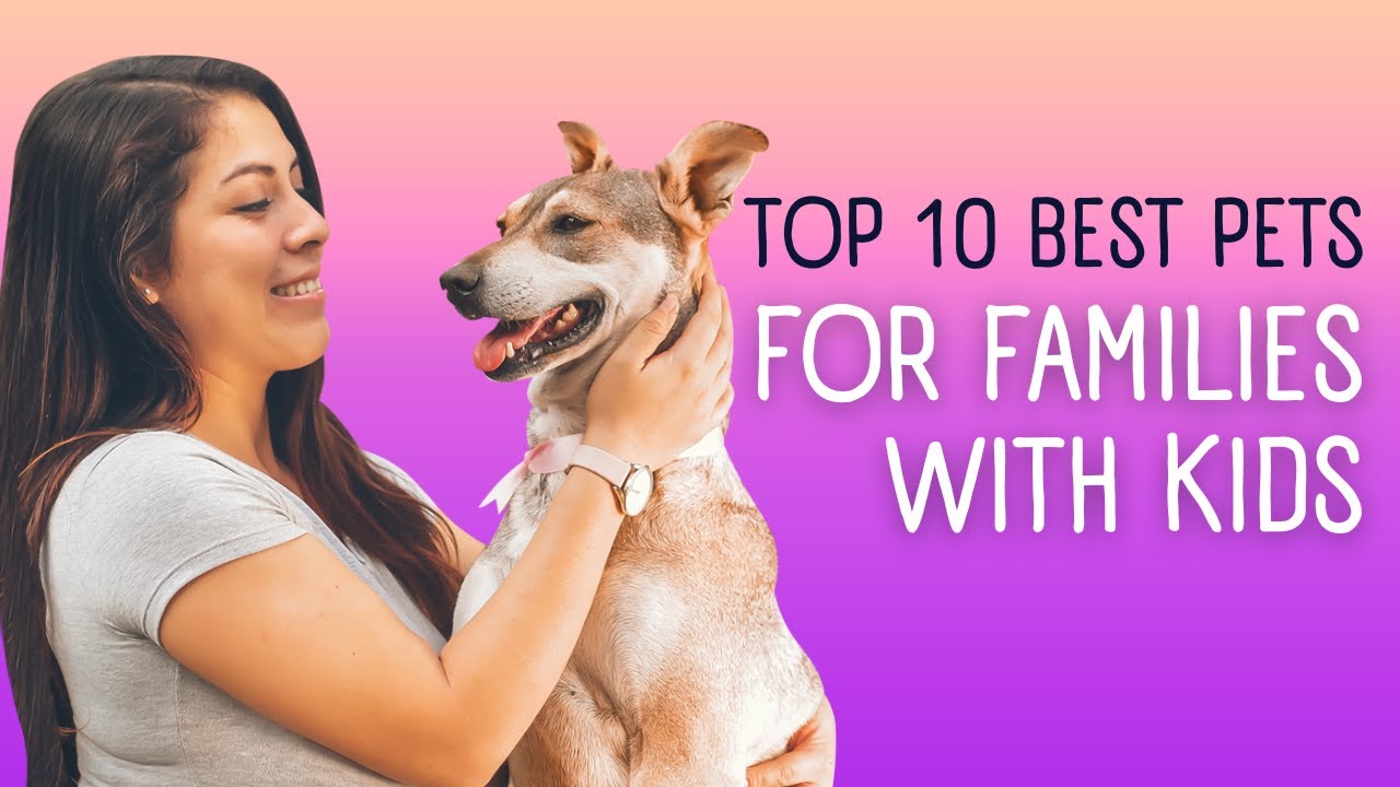 Top 10 best family petsTop 10 Channel YouTube