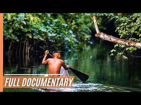 Amazonia Under Siege: Raids in the Rainforest | The Fight for Survival | Full Documentary