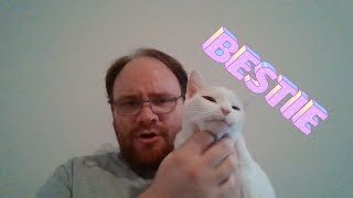 How to make any cat Happy by catatainment 88 views 1 month ago 5 minutes