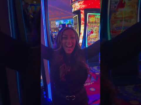 Is Lion Cash Better Than Dragon Train? It Looks AMAZING