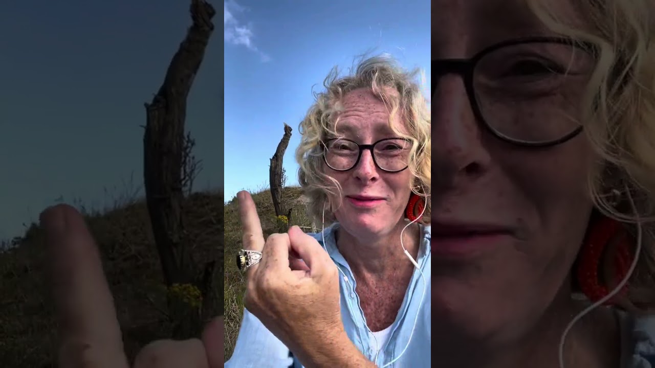 Dit moet ik delen. Kan niet meer zwijgen.