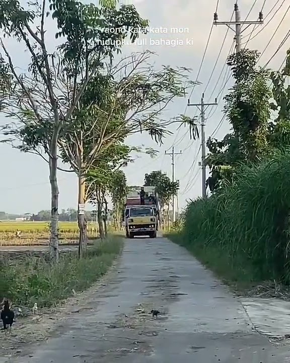 #viral //story'wa truk oleng//story'wa truk mbois//story'wa truk 30 detik !!!