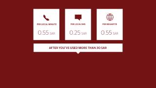 Virgin Mobile Prepaid plan screenshot 4