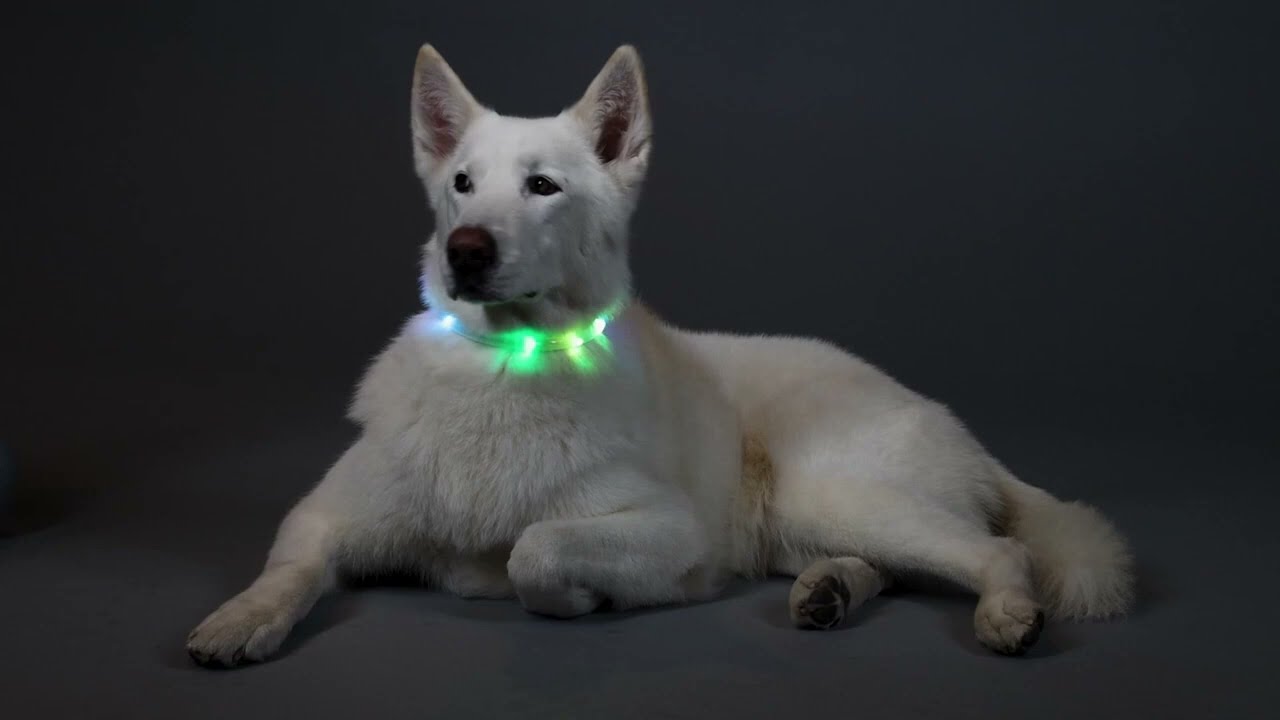 Flashing Dog Collar Multicolor Light DIY Tube Necklace
