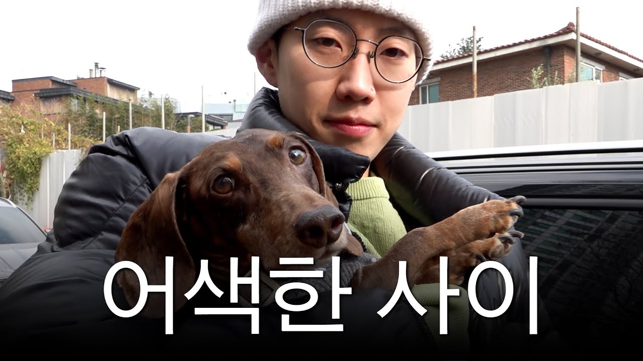나를 싫어하는 내 강아지의 유치원에 따라가봤다