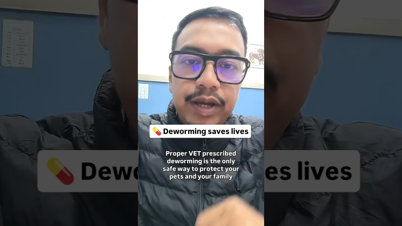 home remedies for worms in dog and cat.  