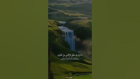 #تلاوة_خاشعة #صلوا_على_النبي #سبحان_الله #الحمدلله #قران_كريم #عبدالرحمن_مسعد #quran