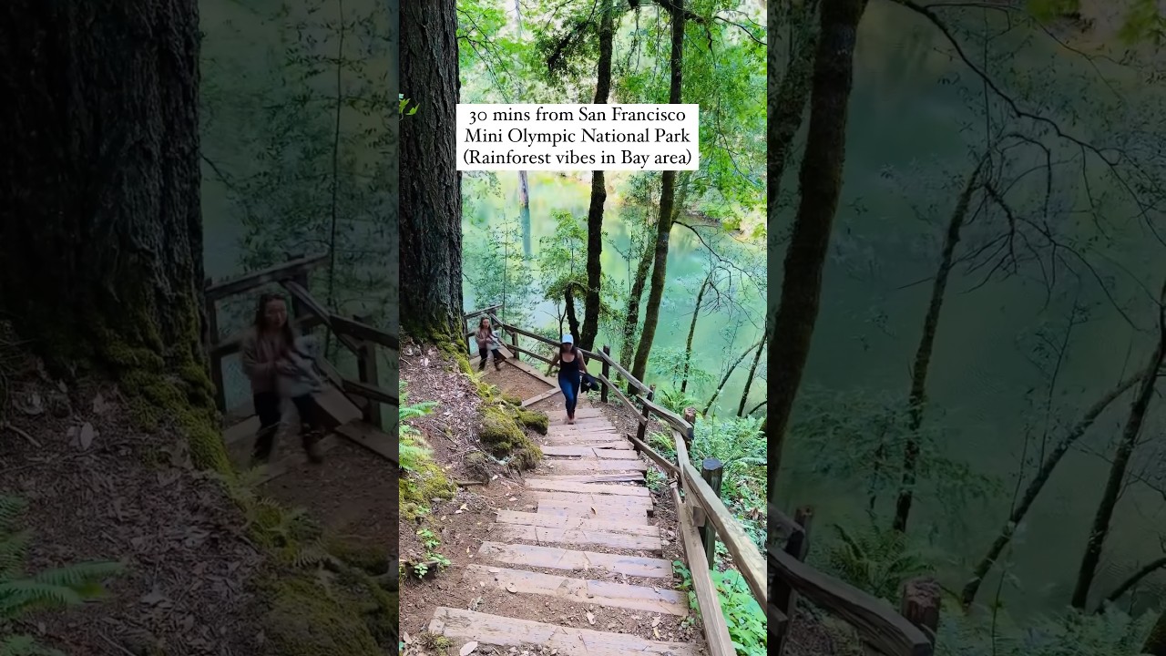 Mini Olympic national park in California’s Bay Area? 📍 Cataract Fall, Mount Tamalpais State Park