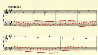 Counterpoint Exercise 11