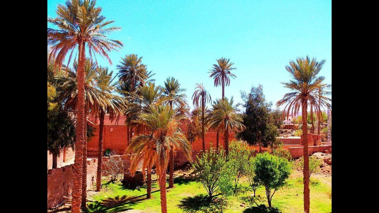 tourisme naama   السياحة في ولاية النعامة