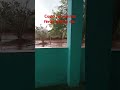 Um pouco como foi minhas férias no nordeste 2025