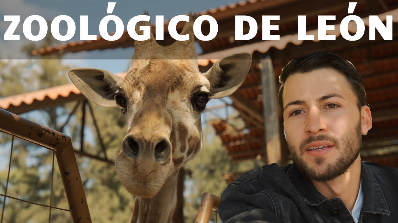 ESTO! me encontré en el zoológico de León, Guanajuato