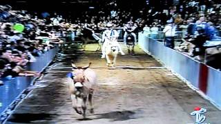 palio dei somari 2011.AVI