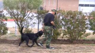 Adopted Oso Kids-N-K9S February 2010