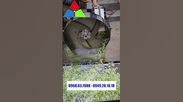 Bán máy thái hành lá, thái xả có băng tải CHYD-20