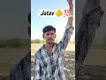 jatav ek barend #viral #jatavsamaj #jaybhimmanmad #jaybheem #shorts #jatavshorts
